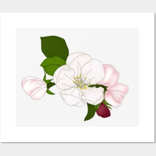 Apple blossom. Time for love and romance. Posters and Art